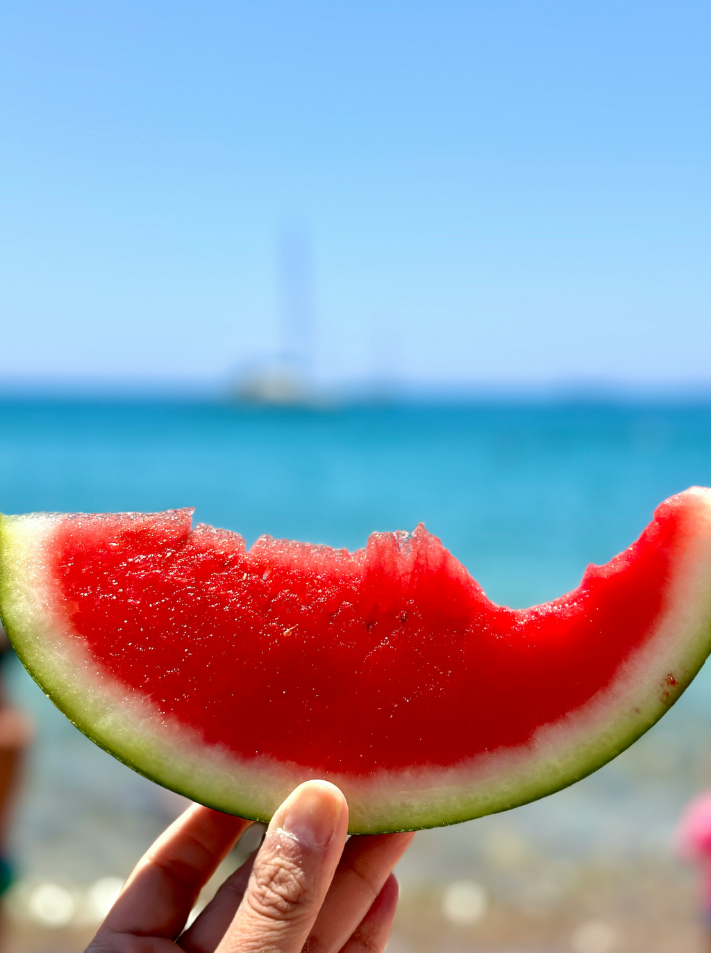Premium Watermelon Breeze 10 oz scented candle