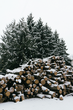 Premium Firewood & Silver Fir 6 oz scented candle