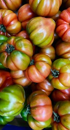 Premium Sicilian Tomato 12 oz scented candle