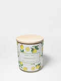 Premium Limoncello 10 oz scented candle