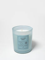 Premium Ocean Mist 10 oz scented candle