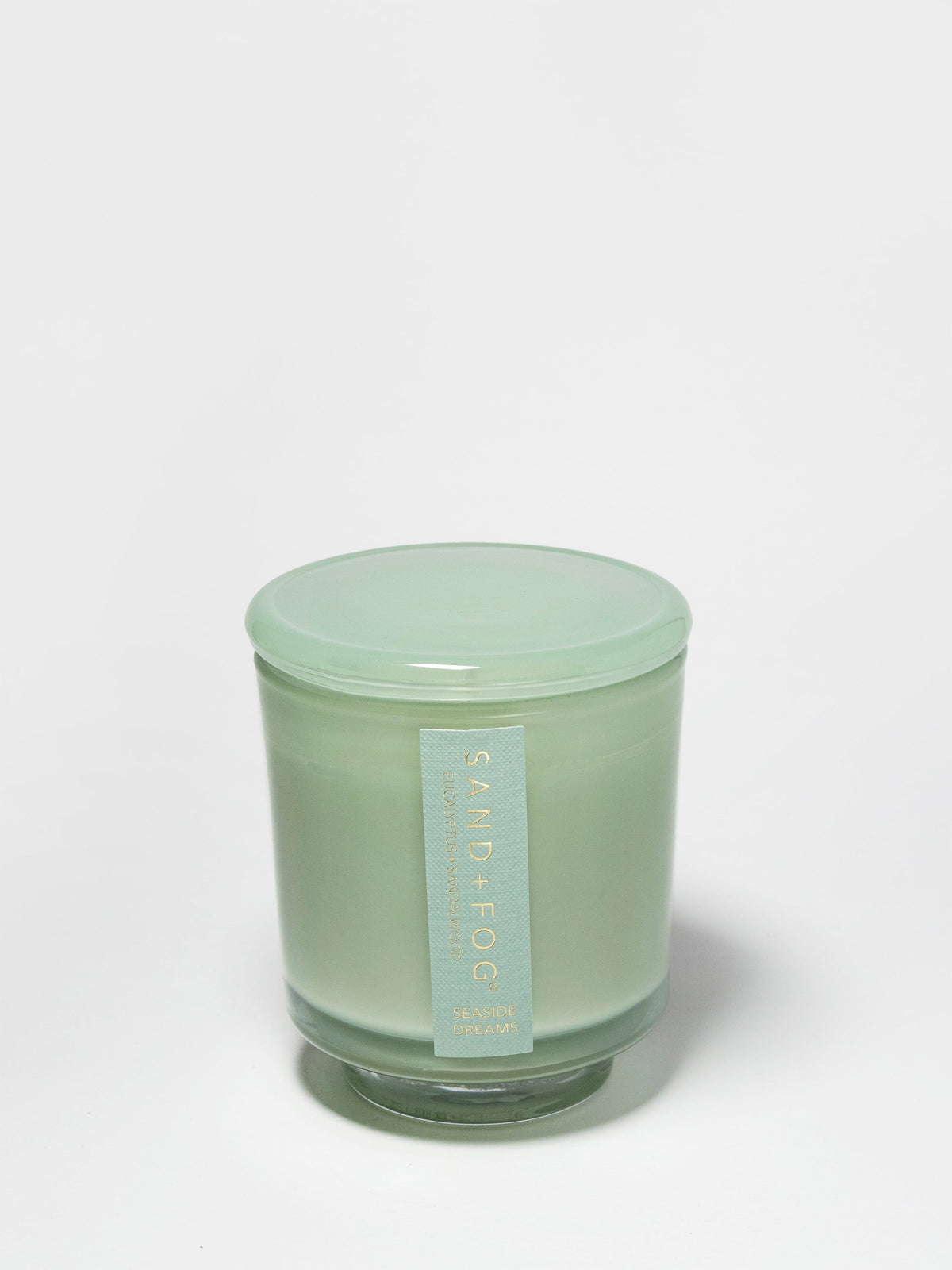 Premium Seaside Dreams 8 oz scented candle