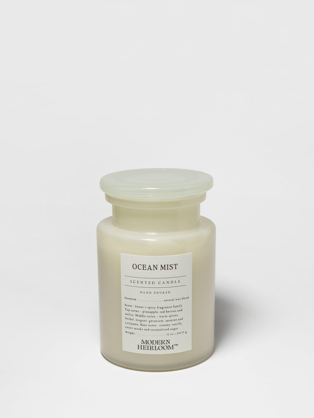 Premium Ocean Mist 12 oz scented candle