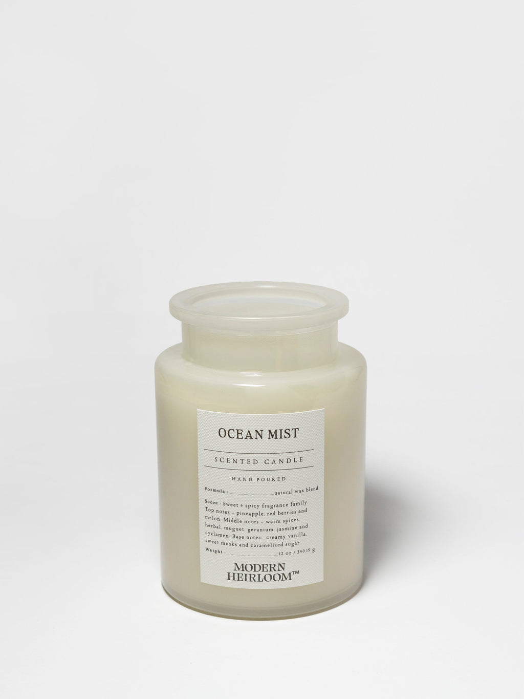 Premium Ocean Mist 12 oz scented candle