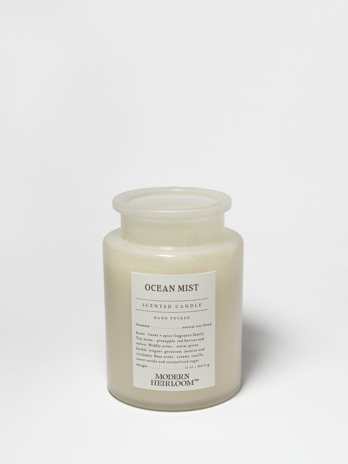 Premium Ocean Mist 12 oz scented candle