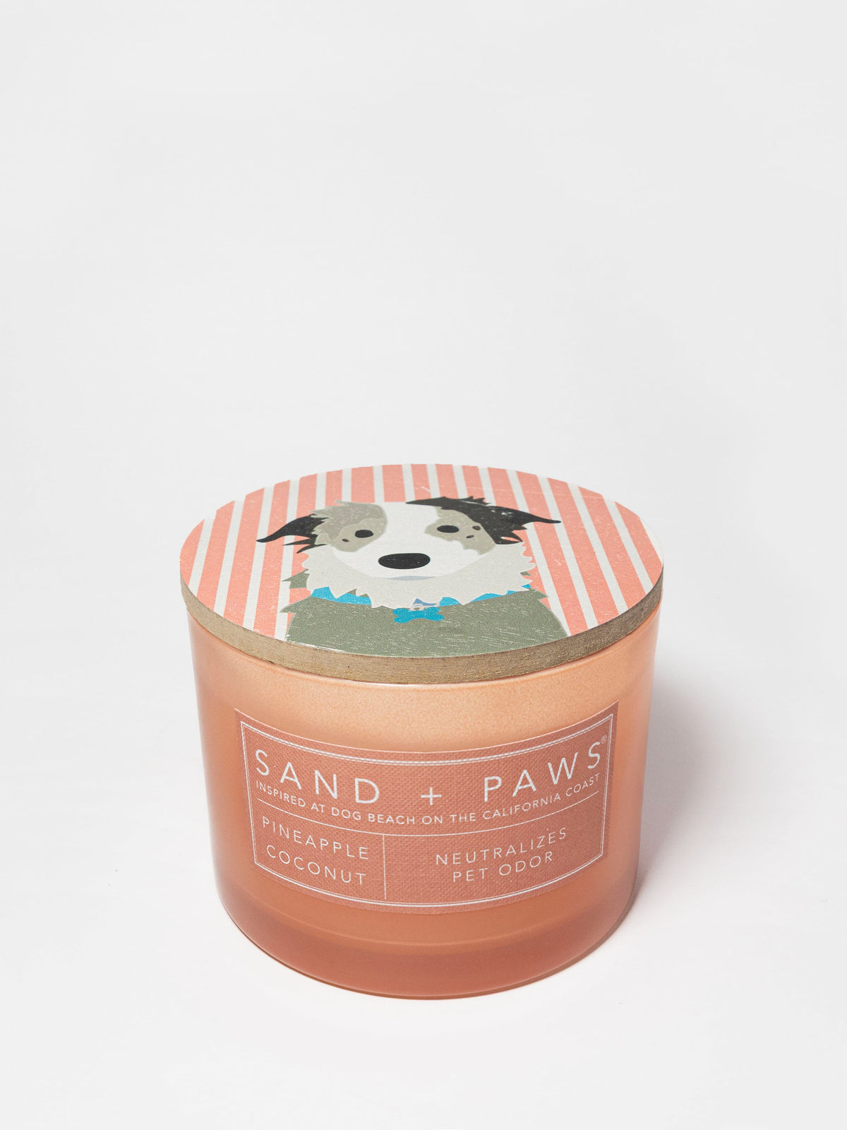 Premium Sand + Paws Pineapple Coconut 12 oz scented candle