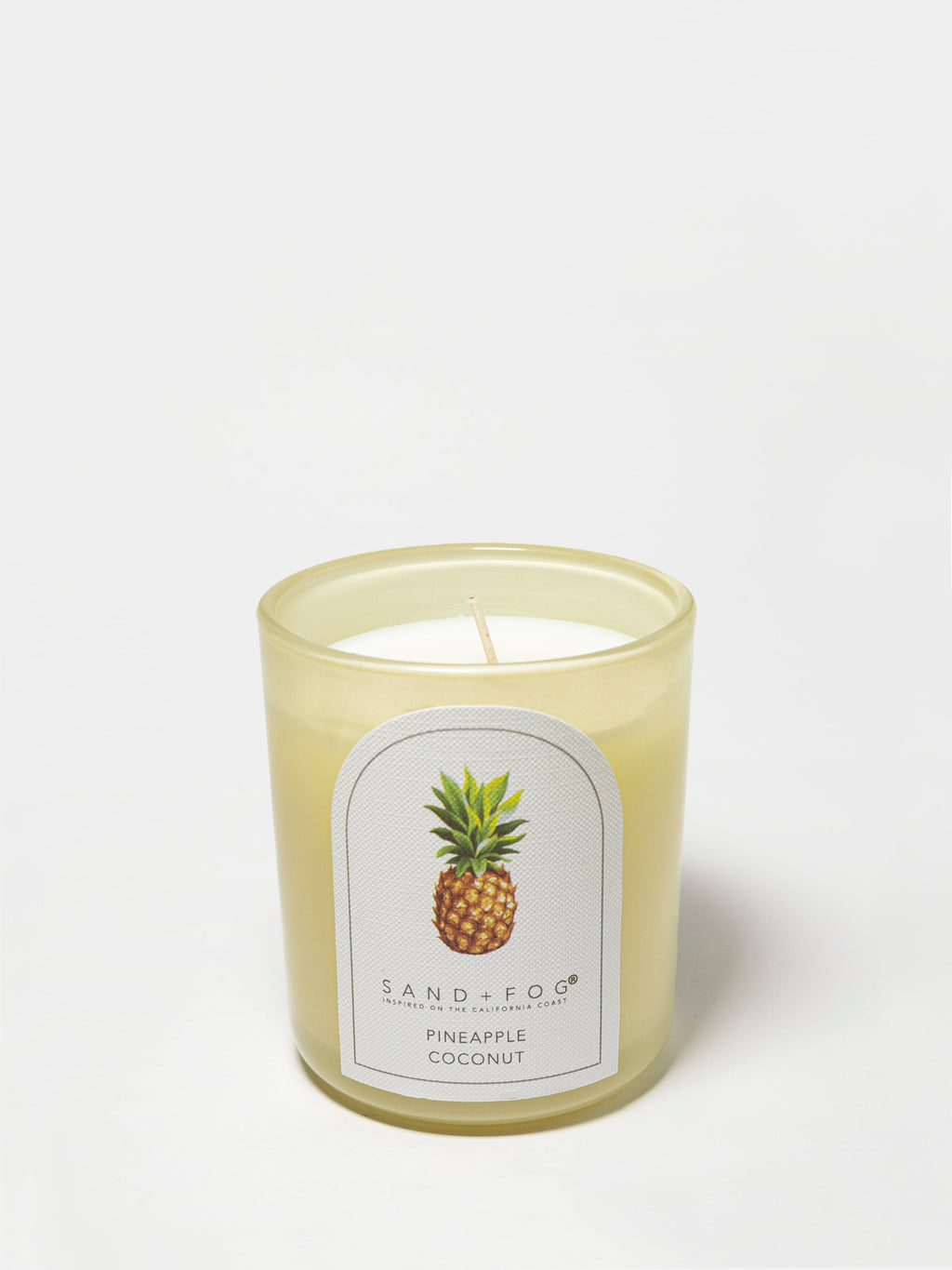 Premium Pineapple Coconut 10 oz scented candle
