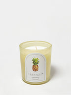 Premium Pineapple Coconut 10 oz scented candle
