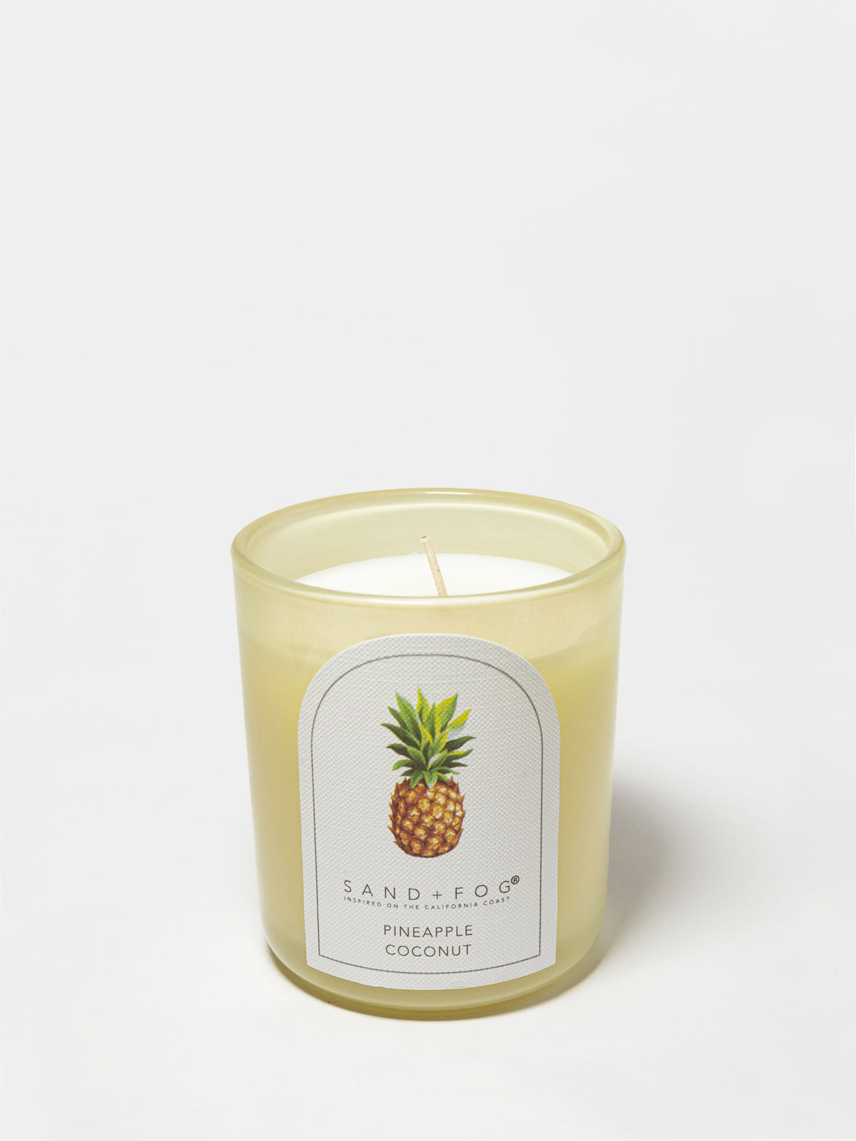 Premium Pineapple Coconut 10 oz scented candle