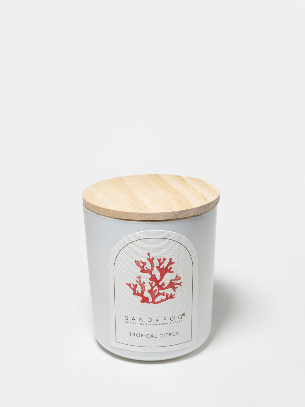 Premium Tropical Citrus 10 oz scented candle