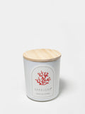 Premium Tropical Citrus 10 oz scented candle