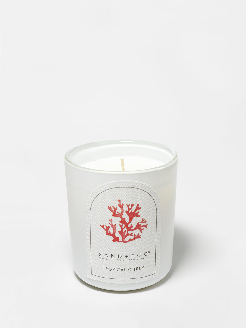 Premium Tropical Citrus 10 oz scented candle