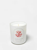 Premium Tropical Citrus 10 oz scented candle