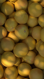 Premium Autumn Citrus 12 oz scented candle