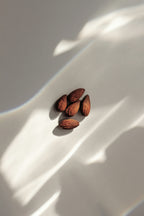 Premium Vanilla Almond 100 ml Eau de Toilette