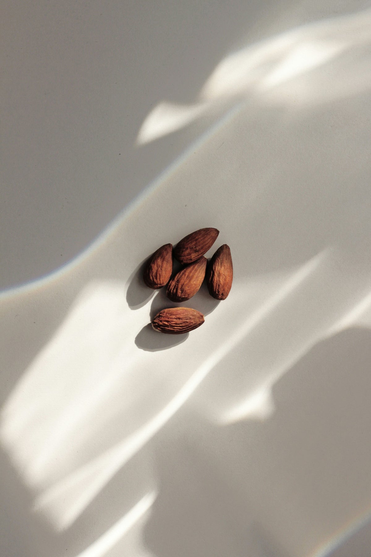 Premium Vanilla Almond 100 ml Eau de Toilette