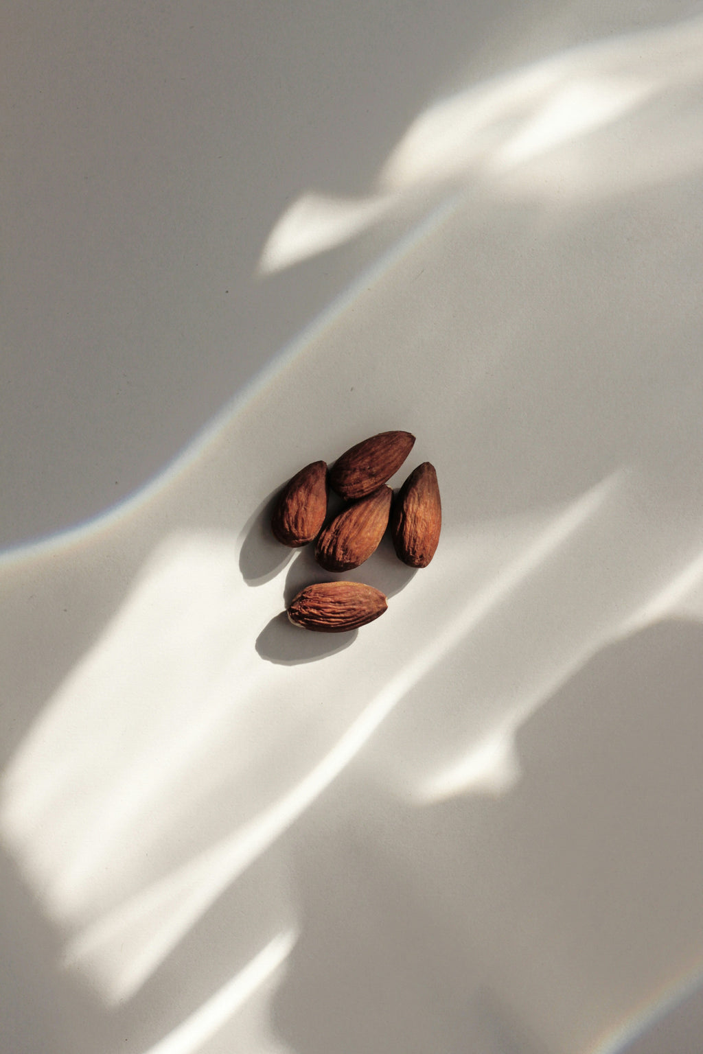Premium Vanilla Almond 50ml Perfume Oil Rollerball