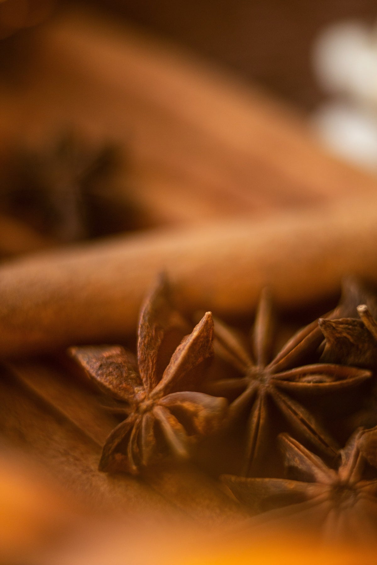 Premium Cinnamon Reserve 50 ml Perfume Oil Dropper